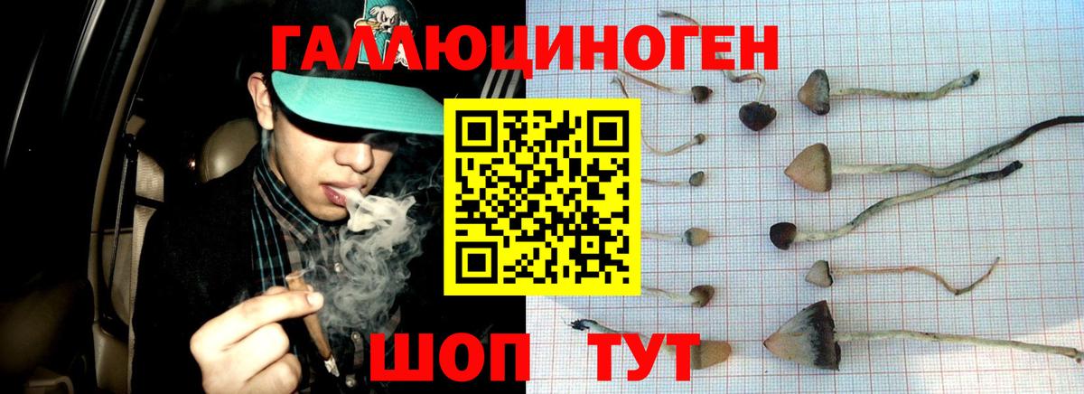 Якутск  Псилоцибиновые грибы мицелий  Вход с VPN 