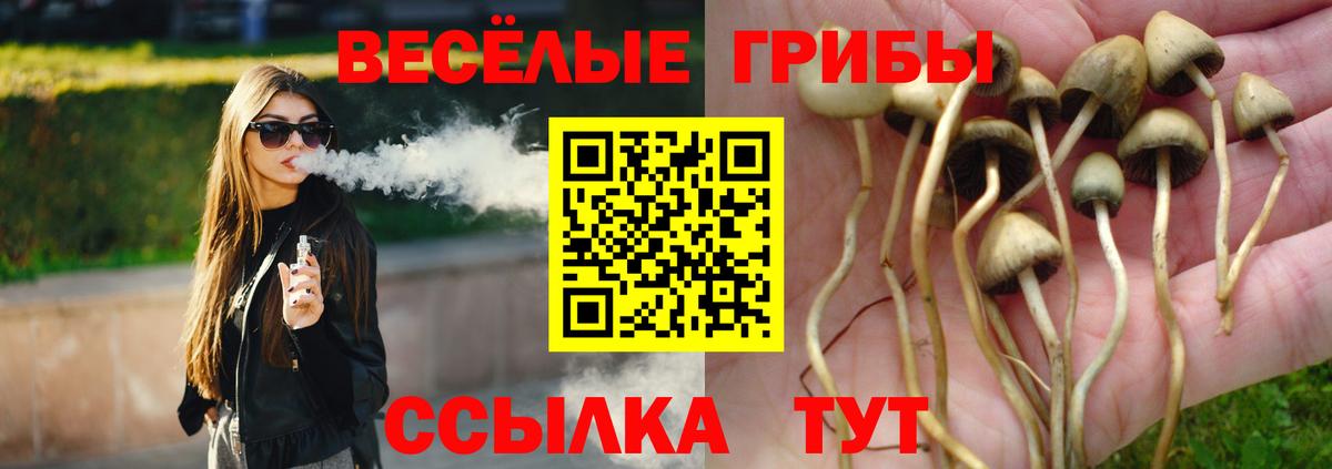 Галлюциногенные грибы GOLDEN TEACHER Якутск